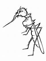 Mosquito Coloring Pages Kids Printable Cartoon Proboscis Broken Bestcoloringpagesforkids Color Colouring Coloringbay Christmas Template Choose Board Clipart Mosquitoes sketch template