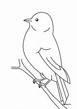 Bird Coloring Oiseau Coloriage Pages Imprimer Printable Kids Quilt Drawings Applique Patterns Dessin Colorier Animal Harriet Tubman Drawing Birdhouse Sur sketch template