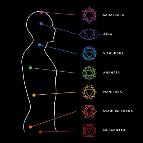 The Seven Chakras In The Human Body Make Your Own Future