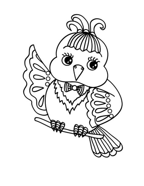 cute canary bird coloring pages  place  color