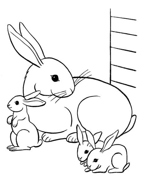 rabbit family rabbits bunnies kids coloring pages