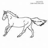 Running Coloring Horse Thoroughbred Pages Color Kids Index Children Own sketch template