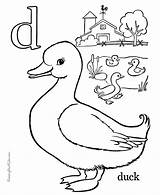 Letter Coloring Pages Start Library Clipart Animals Color Alphabet sketch template