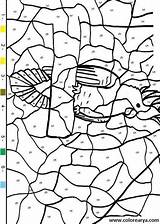 Zahlen Malen Englisch Erwachsene Ausdrucken Papagei Vorlage Numeros Vorlagen Farben Malvorlagen Colorir Parrot Hellokids Malvorlage Numbers Colorindo Pelos Papagaio Colours sketch template