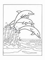 Zee Kleurplaat Dolfijnen Springen Kleurplaten Leukekleurplaten één sketch template