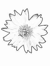Coloring Sunflower Pages Printable Kids Library Bestcoloringpagesforkids Print Insertion Codes sketch template