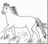 Coloring Pages Horse Friesian Horseback Largest Getcolorings Ri sketch template