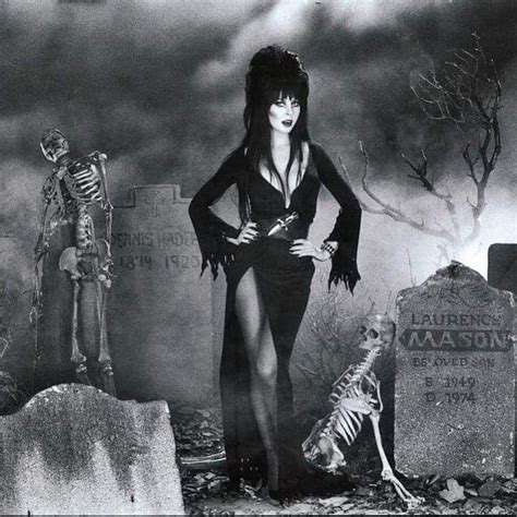 Horror Art Horror Movies Dark Beauty Gothic Beauty Elvira Movies
