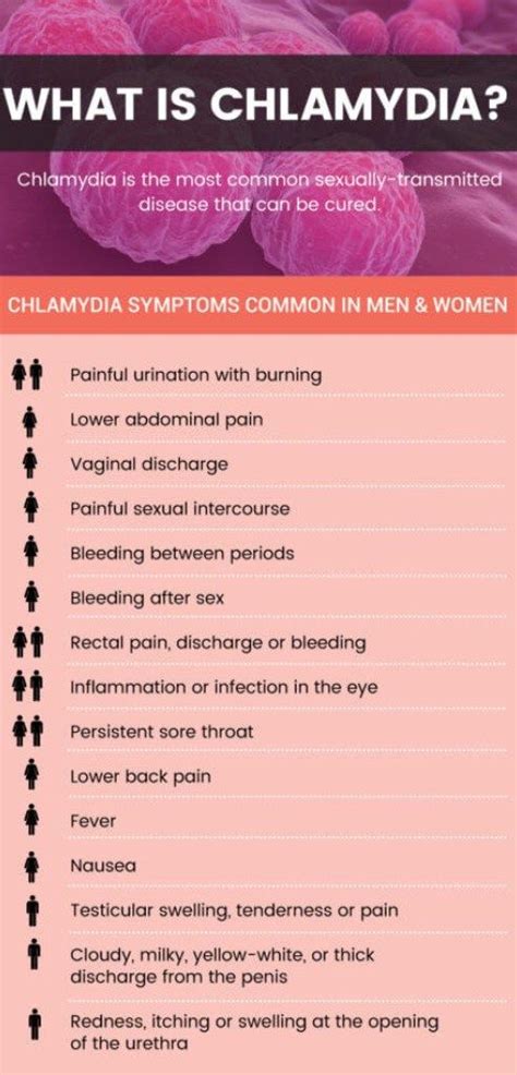 42 Best Chlamydiae Images On Pinterest Anatomy