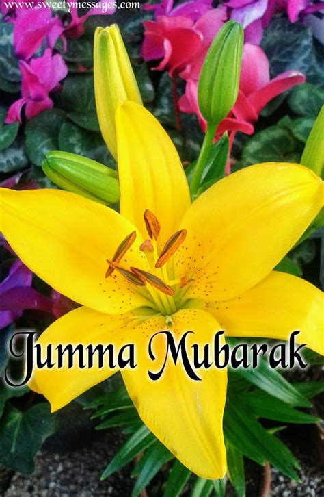 jumma mubarak images beautiful messages