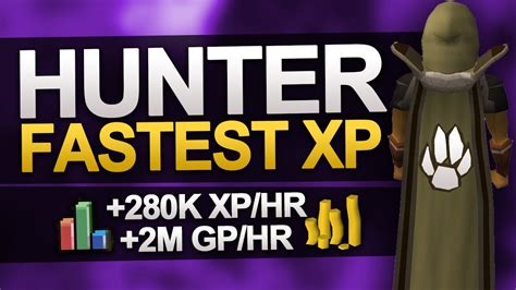fastest hunter xp  osrs ft thurco youtube