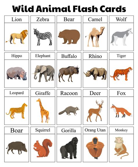 printable animals flash cards printable animal pictures animal