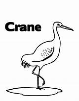 Crane Bestcoloringpagesforkids sketch template