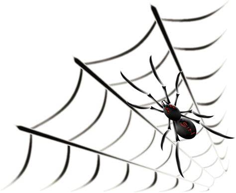 animated web spider gif  sinistirx photobucket