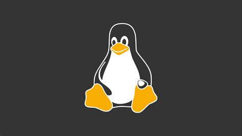 permissoes linux um guia completo sempreupdate