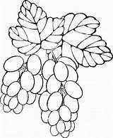 Colorat Fructe Toamna Desene Legume Planse Legumes Groente Uva P94 P21 Primiiani Frutta Verdura Struguri Pentru Copii Plansa Comidas Imagini sketch template