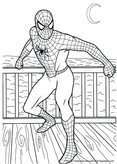 amazing spider man coloring pages  getcoloringscom  printable
