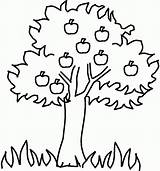 Coloring Apple Tree Pages Popular sketch template