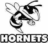 Hornet Hornets Albany Mascot Yulee Logolynx Designlooter sketch template