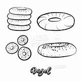 Drawing Yeast Bagel Paintingvalley Drawn Sketch Hand Food Hebstreits Sketches Choose Board Bread sketch template