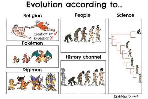 jonathan dodd evolution doesnt change