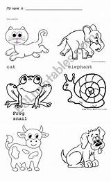 Animals Color Trace Worksheet Worksheets Esl sketch template
