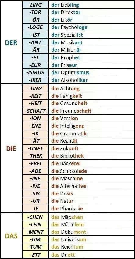 pin  german grammar gender