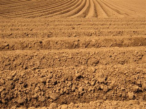 picture soil dry agriculture ground soil