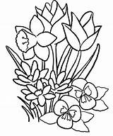 Tulip Pages Coloring Flower Getdrawings Spring sketch template