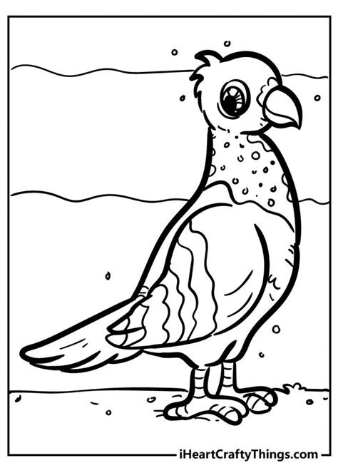 bird coloring pages   printables