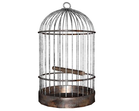 bird cage png image purepng  transparent cc png image library