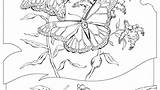 Resources Natural Coloring Pages Getcolorings Getdrawings sketch template