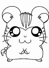 Hamster Coloring Pages Cute Popular sketch template