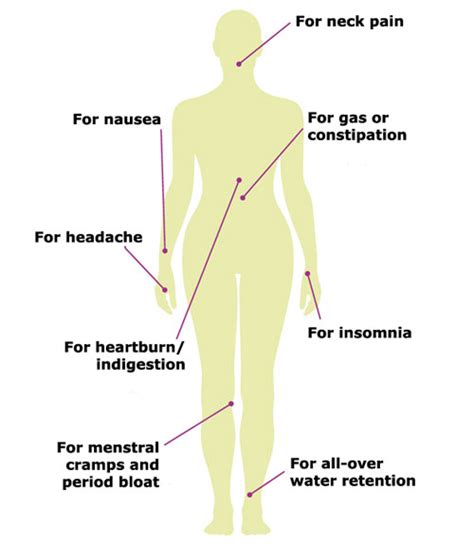 Acupressure Points For Sex Hairy Pussy Gals