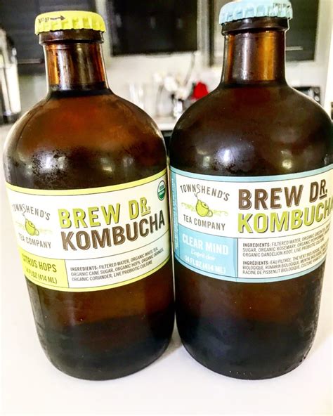 aug 27 everything you need to know about drinking kombucha dr bindiya md