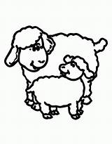 Sheep Lamb Coloring Pages Outline Drawing Lion Clipart Color Clip Realistic Printable Line Template Getdrawings Cliparts Cute Popular Clipartmag Library sketch template