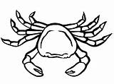 Colorat Rac Crab Desene Planse Imagini Hermit Crabi Raci Animale Desenat Fise Insecte Racul Imaginea Educatia Conteaza sketch template