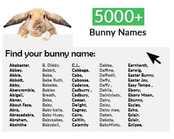 good rabbit names cheap  shopping