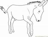 Donkey Coloring Walking Pages Coloringpages101 Printable Print Color Donkeys Online sketch template