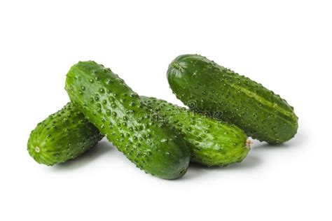 fresh cucumbers stock photo image  isolated cucumber
