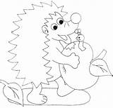 Hedgehog Worm Apple Coloring sketch template