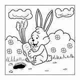 Coloring Carrot Bunny sketch template