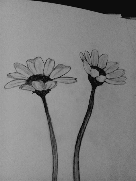 Dibujo De Flores A Lápiz