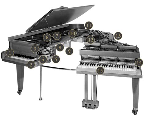 instrumenten aufbau seiler pianos