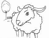 Sheep Coloring Pages Printable Kids Print Wiggles Lamb Color Sheet Sheets Popular Lion Printables Choose Board Comments Coloringhome Bestcoloringpagesforkids sketch template