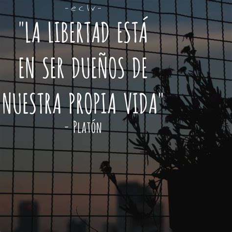 imagenes  frases cortas de libertad