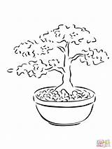 Bonsai Coloring Tree Pages Miniature Drawing Printable Drawings Trees Clipart Kids Color sketch template