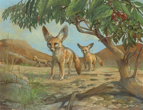 Fennec Fox Painting By Ace Coinage Painting By Michael Rothman