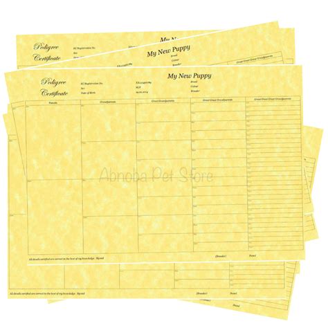 generation pedigree form certificate printed  quality paper puppy