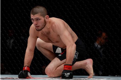 khabib nurmagomedov s next fight seemingly revealed by joe rogan